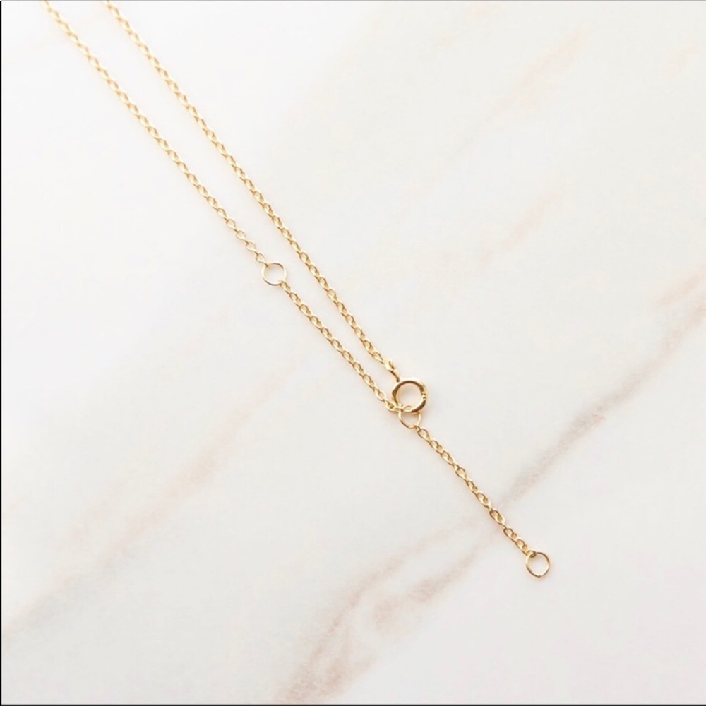 Crystal Horseshoe Necklace | 14k Gold Plated - Picture 6 of 6
